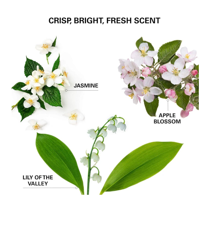 COLOR WOW Insta Wow Advanced Dry Shampoo