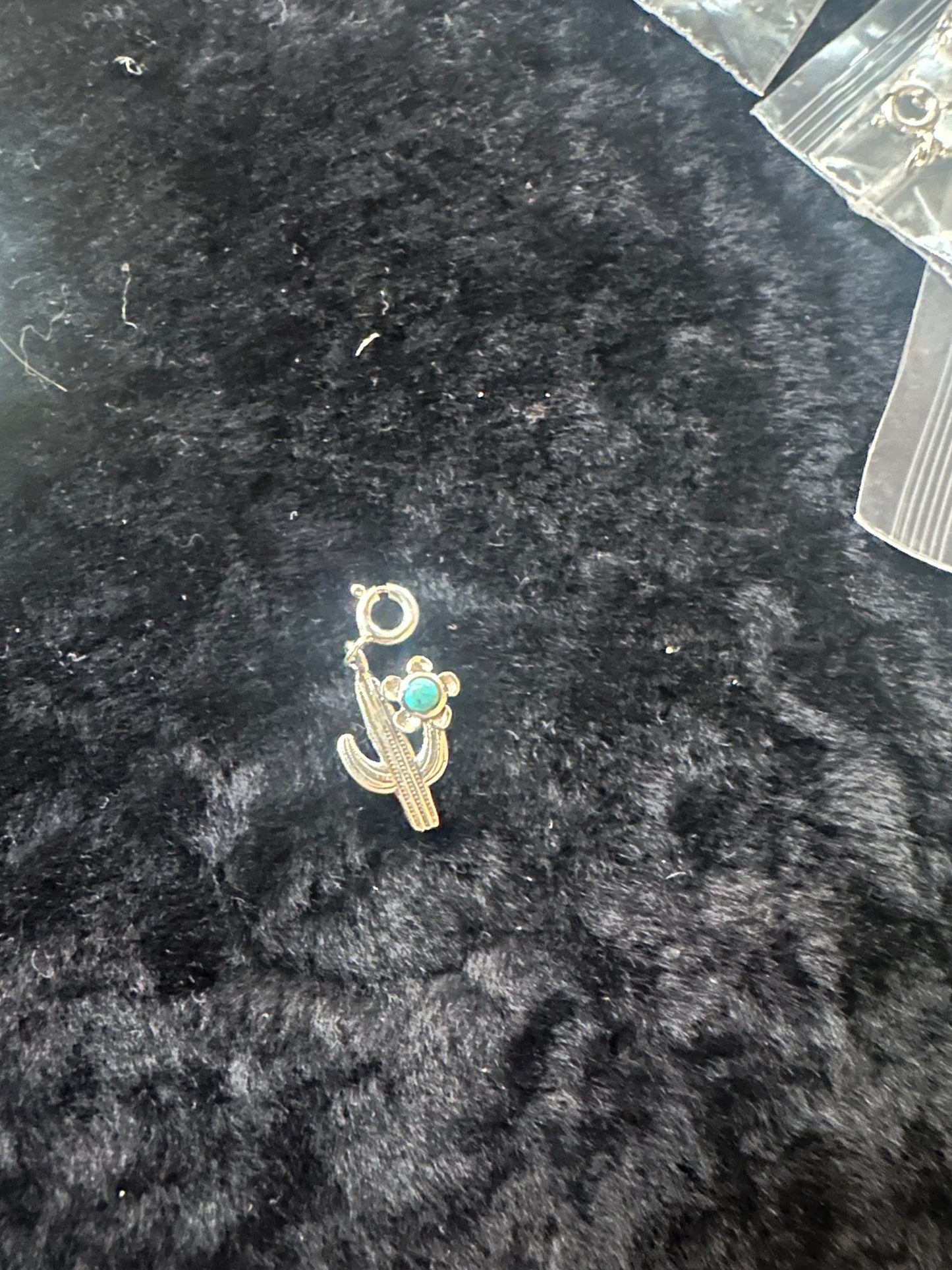 Sterling Silver Kingman Turquoise Charm Cactus