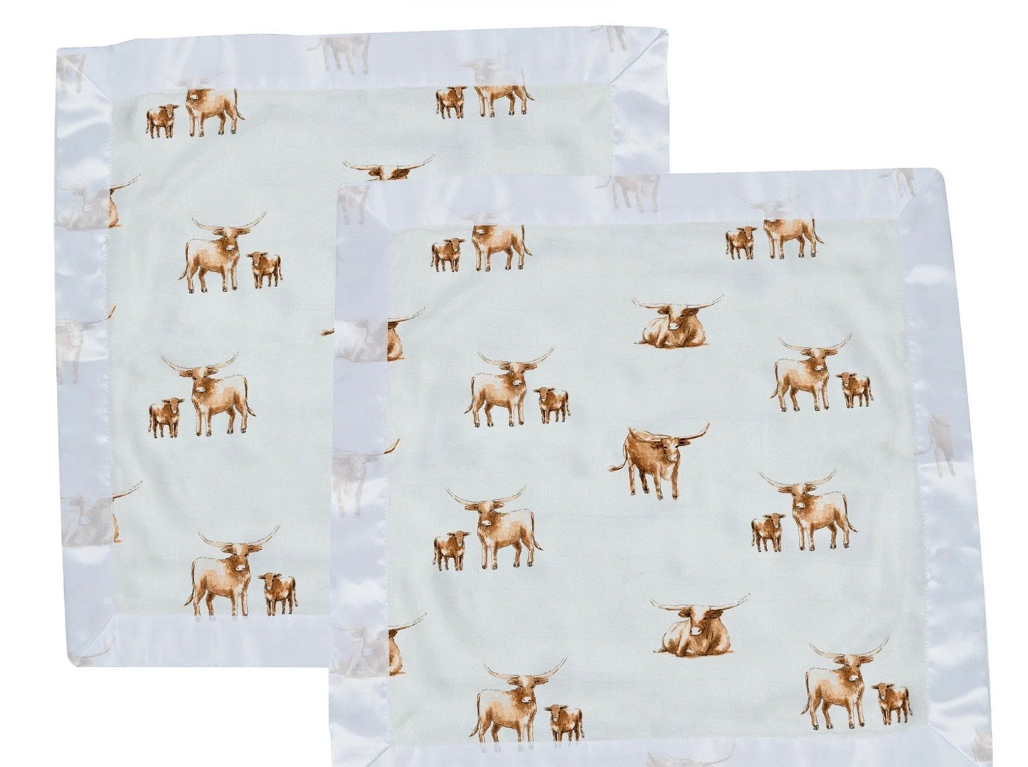 Longhorn Baby Blankie