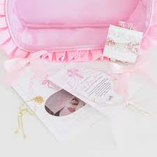 HOLLIS RUFFLED NYLON LARGE CLEAR WINDOW POUCH (monogram available)