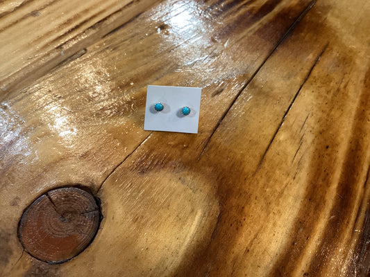Dainty Turquoise Studs