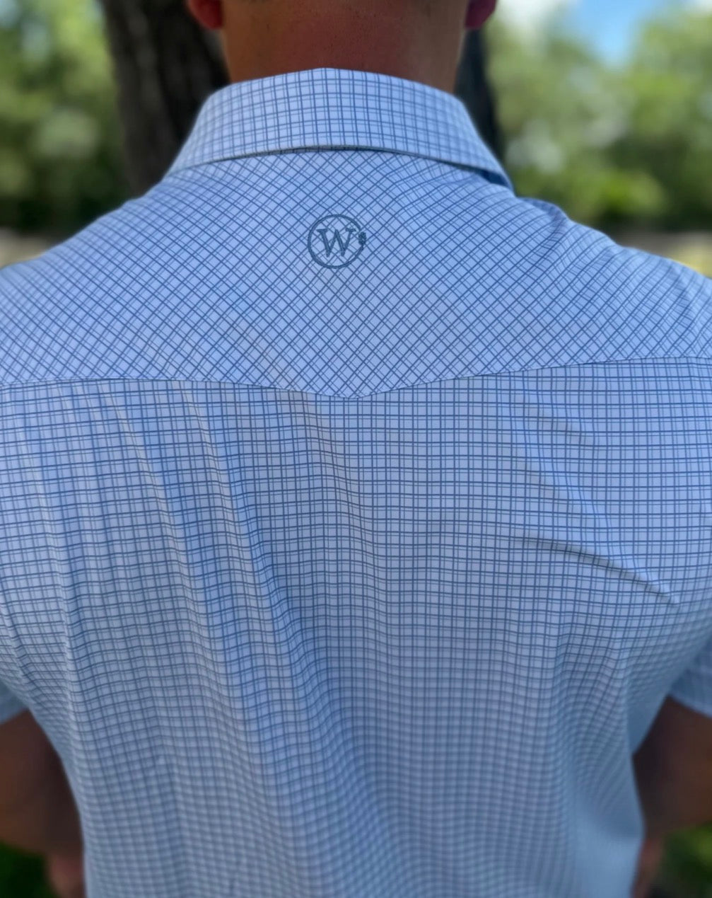Men's Button Down