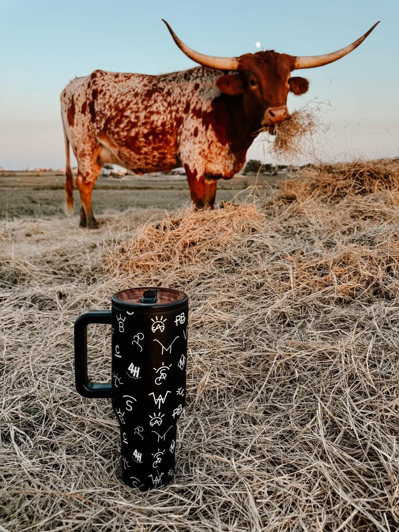 Cowpoke Tumblers