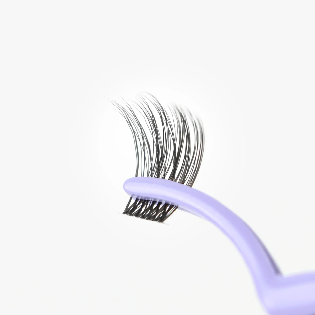 C & D Beauty Iconic Lash Kit with Tweezer and Refill Kit