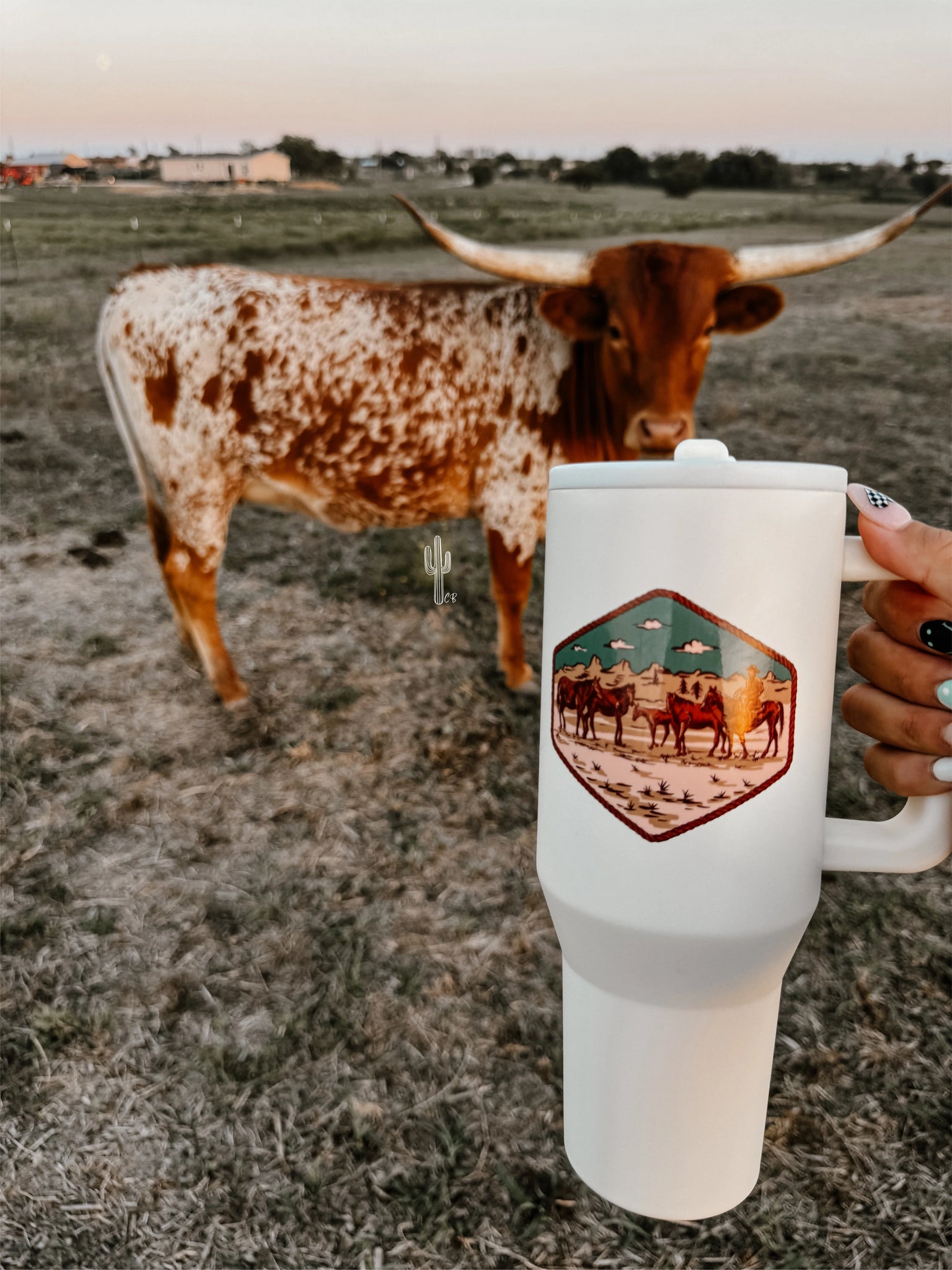 Cowpoke Tumblers