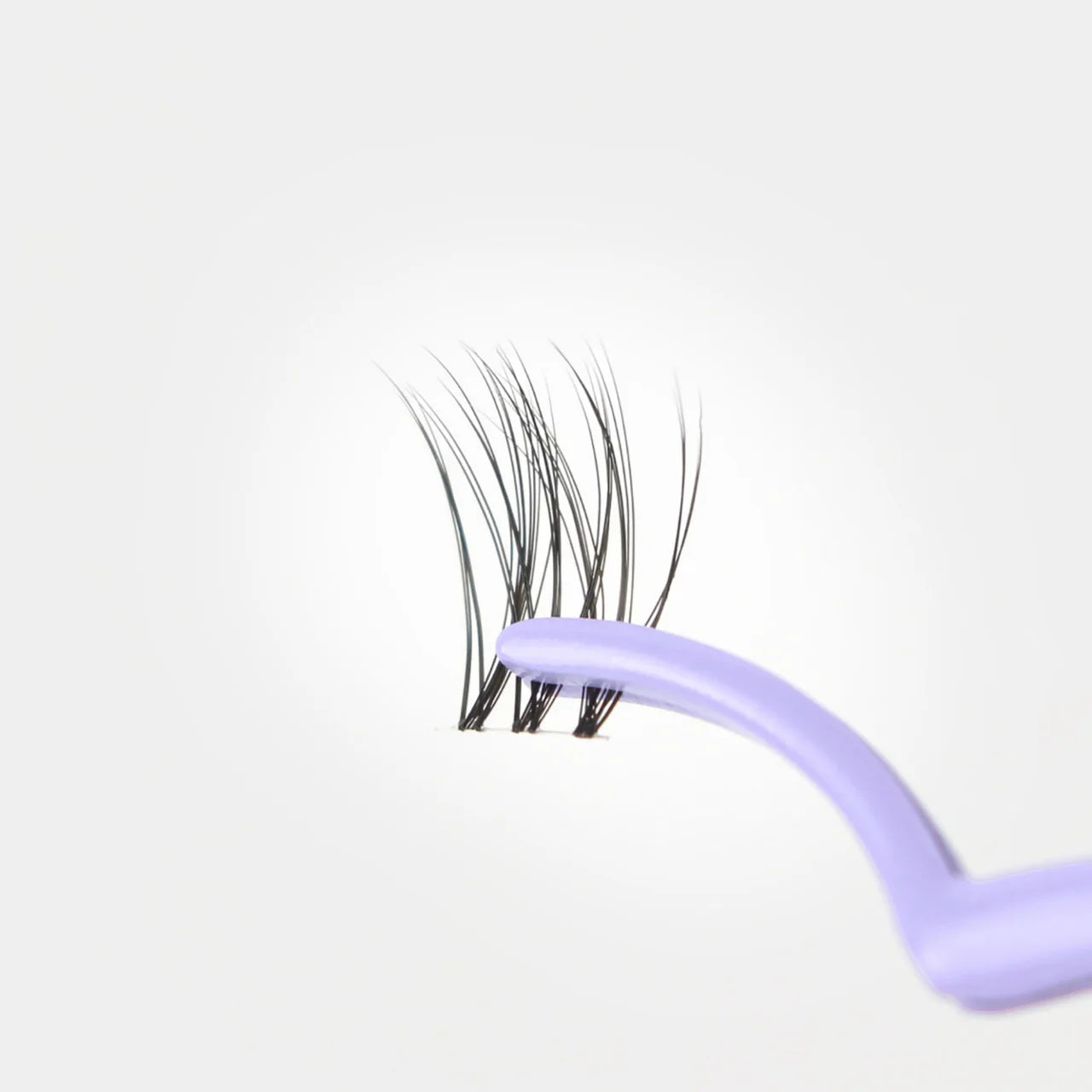 C & D Beauty Iconic Lash Kit with Tweezer and Refill Kit