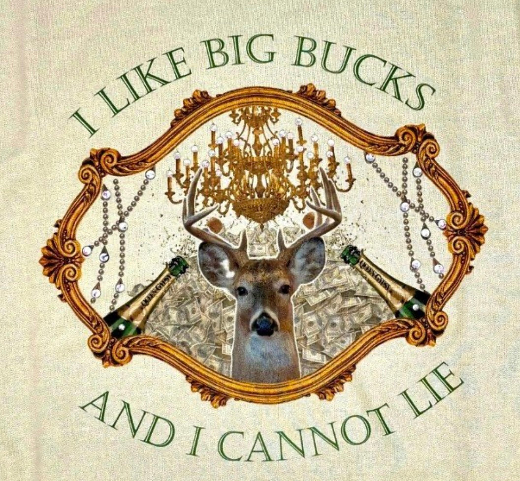 QUEEN GYPSY I Like Big Bucks and I Cannot Lie Tee or Sweatshirt with Crystals