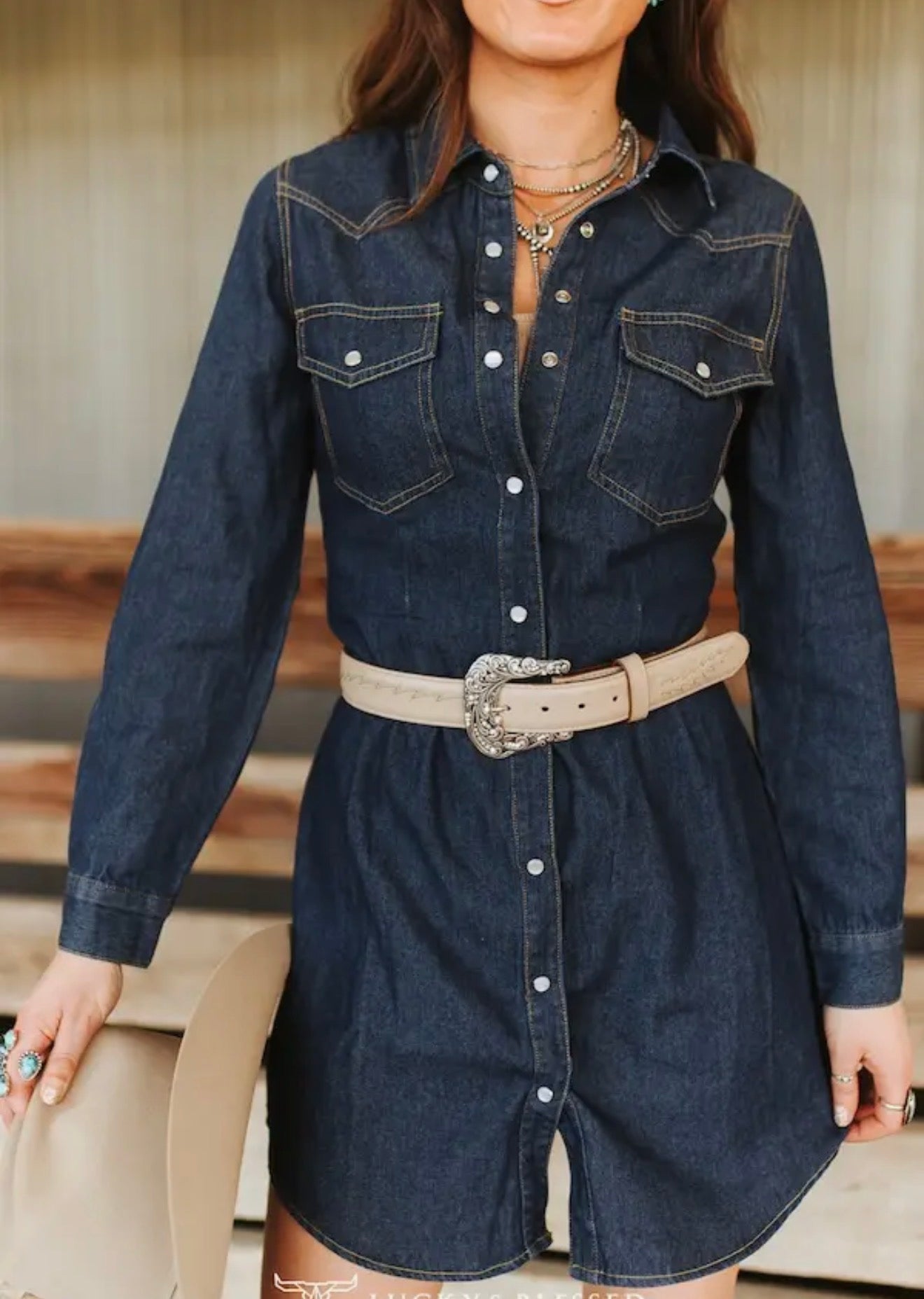 L & B Classic Western Button Down Long Sleeve Denim Dress