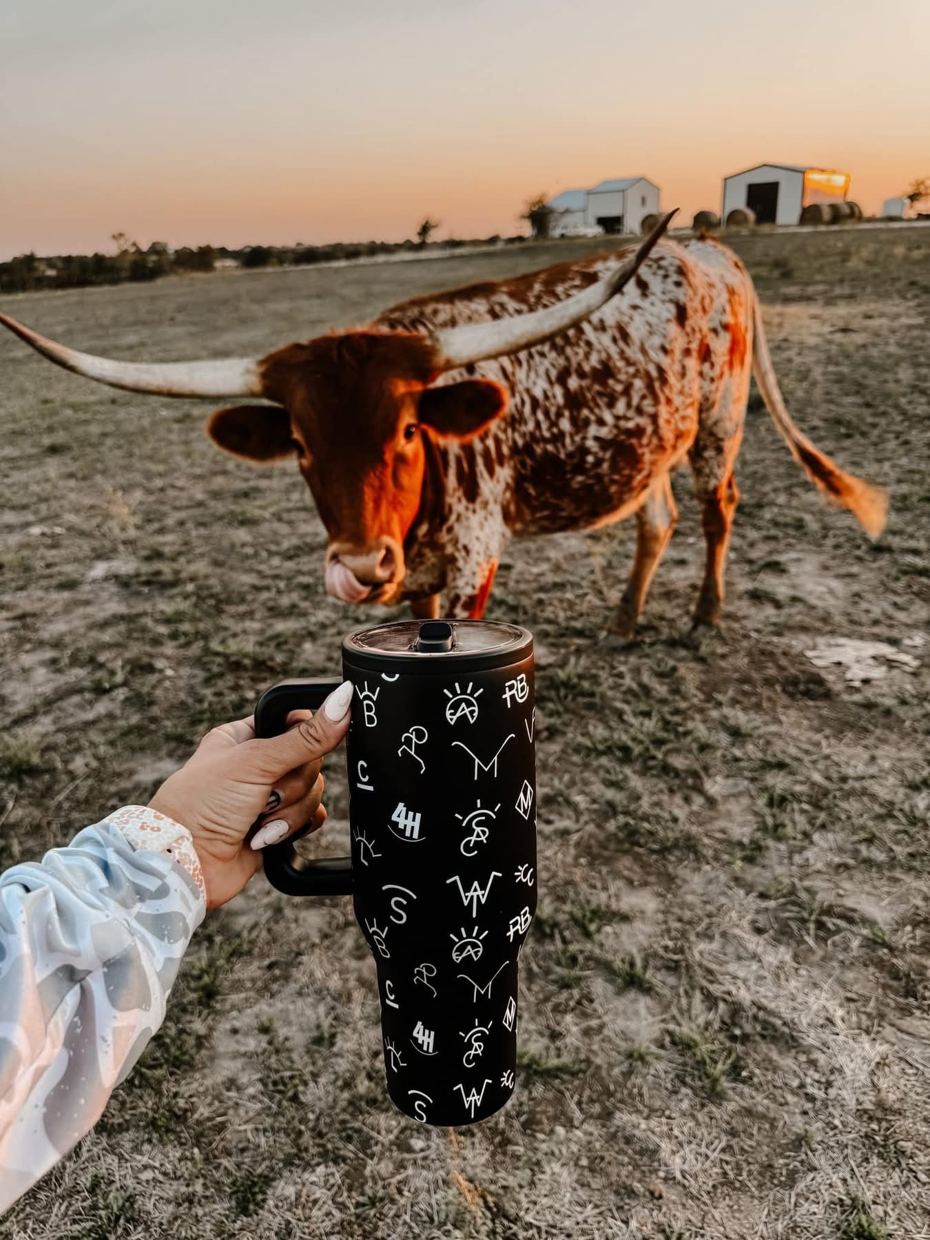 Cowpoke Tumblers