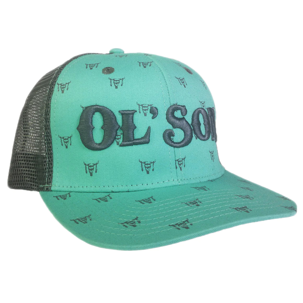 Ol' Son Turquoise Mesh Skull Print Flatbill