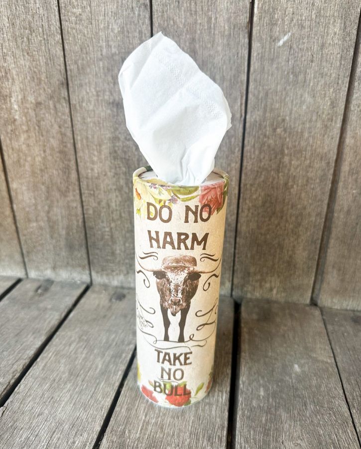 Don't Be A Lady, Be A Legend / Do No Harm Car Tissues