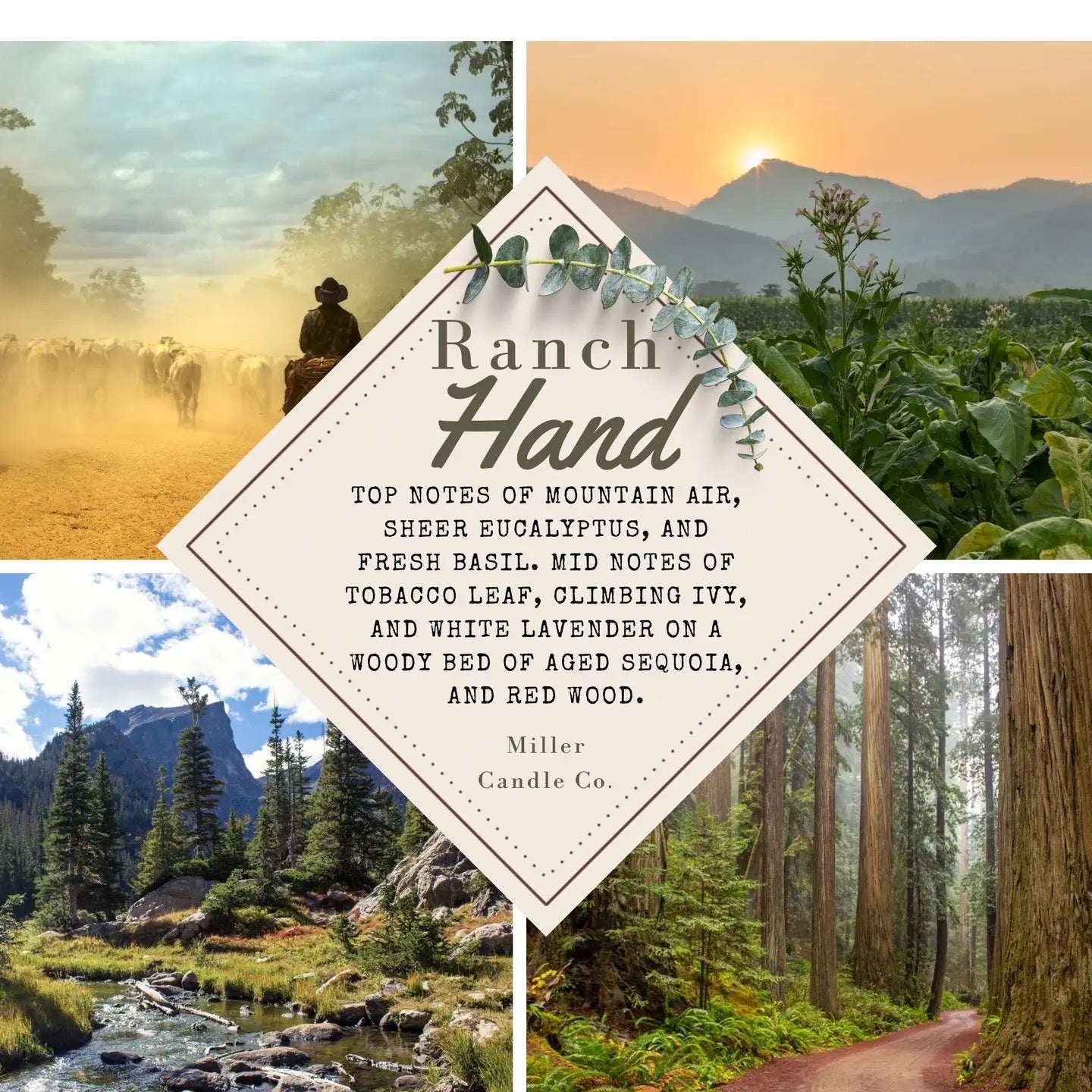 Woodsman Wax Melts