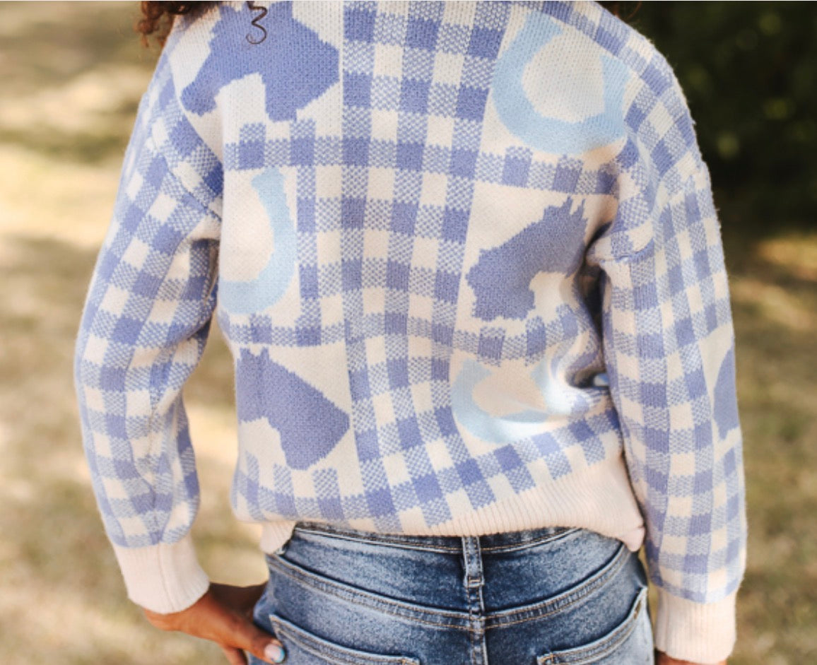 GIRLS BLUE PLAID BUTTON UP WESTERN SWEATER